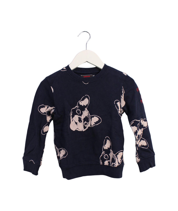 A Navy Crewneck Sweatshirts from Catimini in size 4T for boy. (Front View)