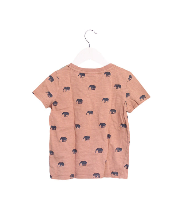 A Brown Short Sleeve T Shirts from Seed in size 4T for boy. (Back View)