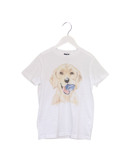 A White Short Sleeve T Shirts from Il Gufo in size 8Y for boy. (Front View)
