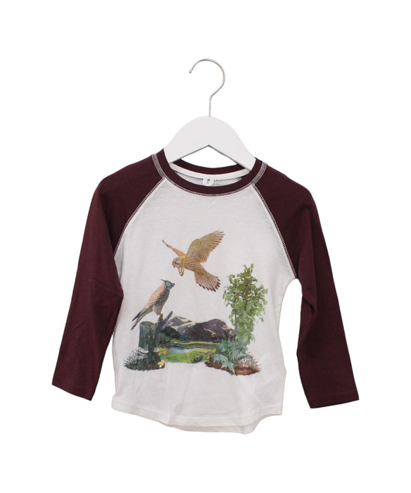 A Burgundy Long Sleeve Tops from Stella McCartney in size 4T for boy. (Front View)