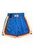 A Multicolour Shorts from Diesel in size 10Y for boy. (Front View)