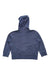 A Navy Hooded Sweatshirts from Polo Ralph Lauren in size 3T for boy. (Back View)
