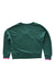 A Green Crewneck Sweatshirts from Boden in size 6T for girl. (Back View)