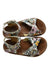 A Multicolour Sandals from Young Soles in size 4T for girl. (Back View)