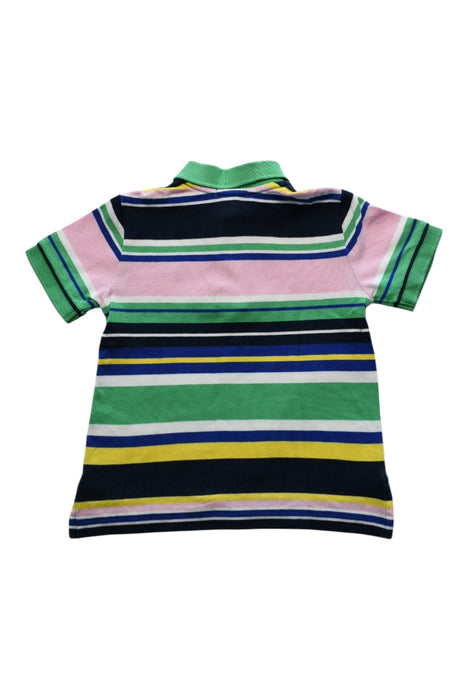A Multicolour Short Sleeve Polos from Polo Ralph Lauren in size 4T for boy. (Back View)