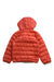 A Red Puffer/Quilted Jackets from Under Armour in size 5T for girl. (Back View)