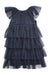 A Navy Sleeveless Dresses from Velveteen in size 6T for girl. (Front View)