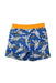 A Multicolour Swim Shorts from Petit Bateau in size 3T for boy. (Back View)