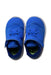 A Blue Sneakers from Nike in size 12-18M for neutral. (Front View)