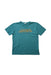 A Teal Short Sleeve T Shirts from Dolce & Gabbana in size 6T for boy. (Front View)