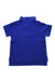 A Blue Short Sleeve Polos from Polo Ralph Lauren in size 2T for boy. (Back View)