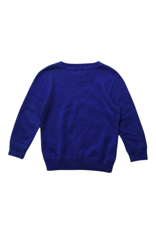 A Blue Knit Sweaters from Polo Ralph Lauren in size 2T for boy. (Back View)
